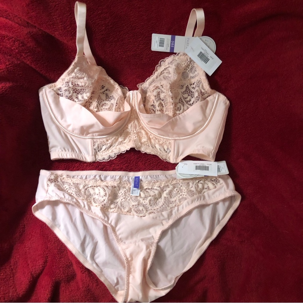Parfait Lingerie Pale Blush Bra & Panty Set - Size 38E/Large - New With Tags - Picture 8 of 9